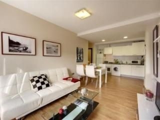 Bilbao Apartamentos Atxuri3