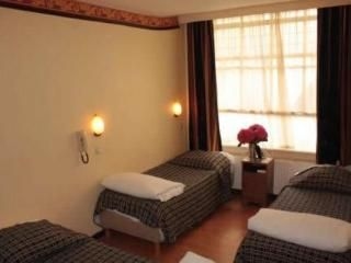 Hotel Vijaya0