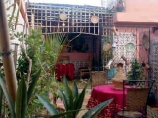 Riad Jddi Riad Jddi