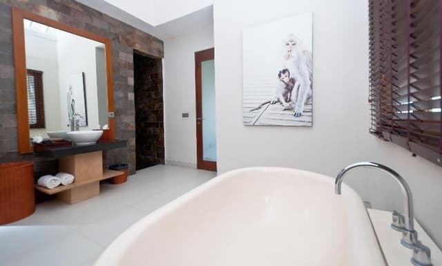 SUITE STANDARD