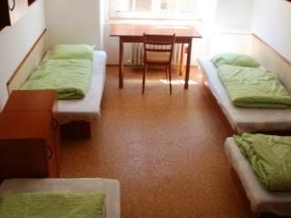 Dizzy Daisy Hostel Prague1