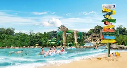 Adventure Cove Waterpark2