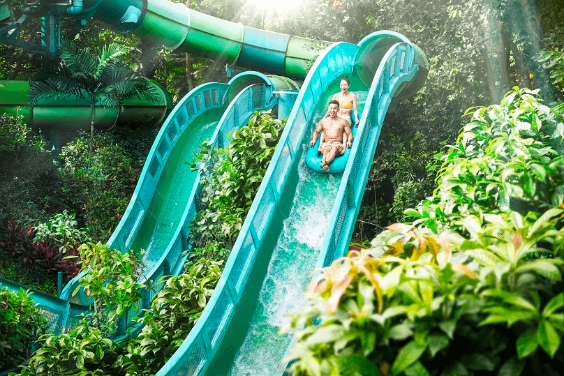 Adventure Cove Waterpark