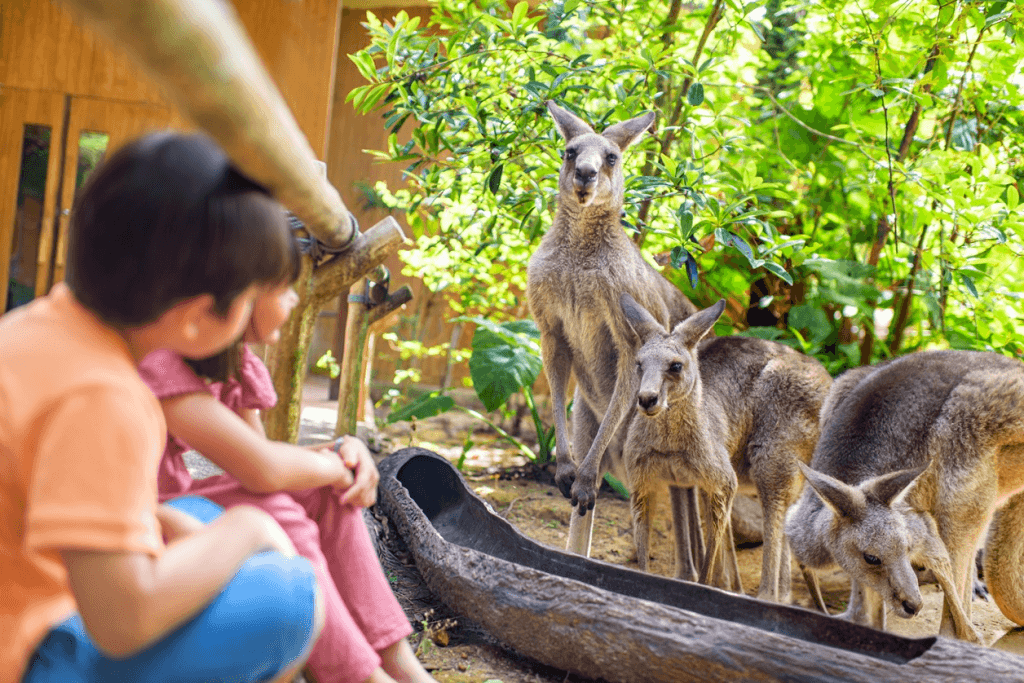 Singapore Zoo2