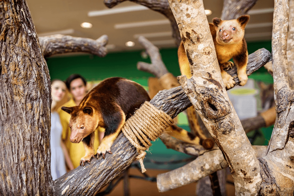 Singapore Zoo3