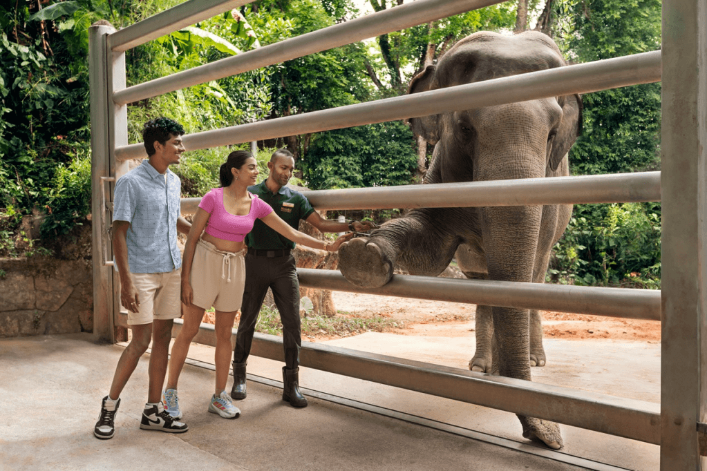 Singapore Zoo4