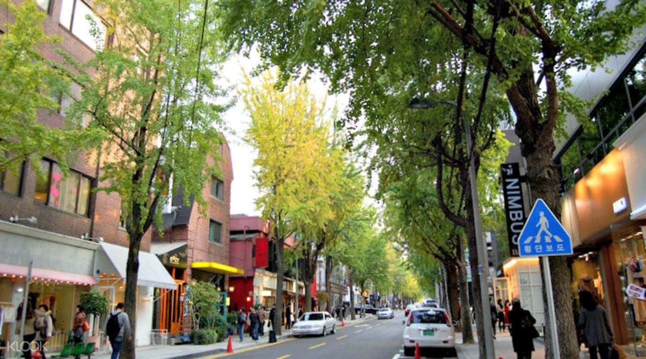 Seoul Gangnam Private Car Charter2