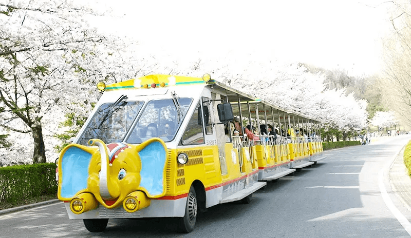 Seoul Zoo Ticket1
