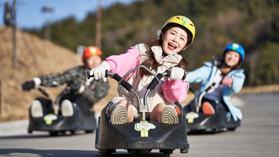 Skyline Luge Korea3
