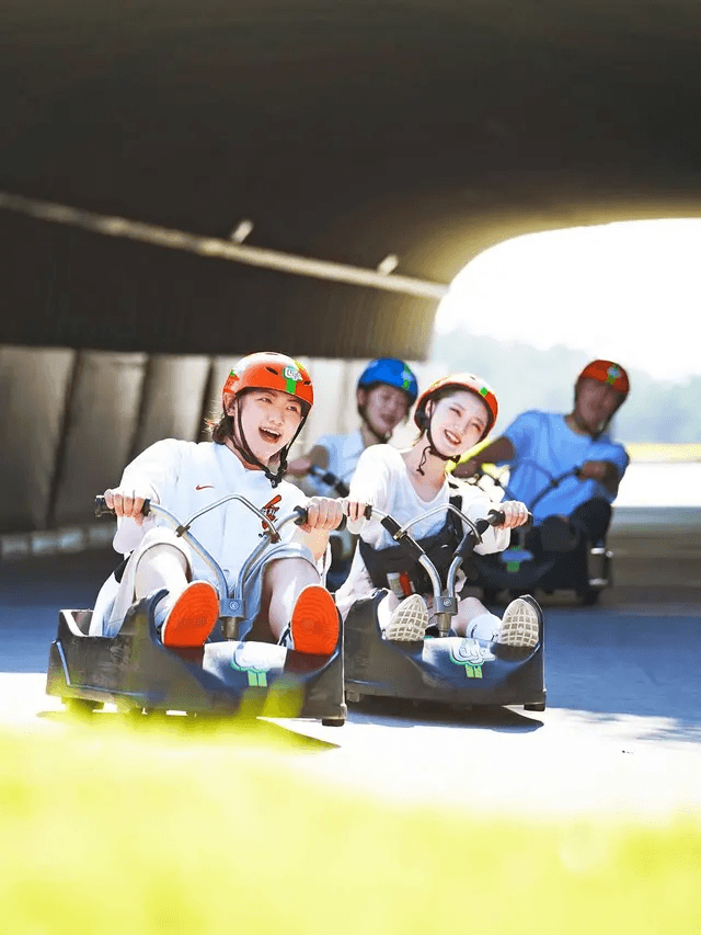 Skyline Luge Korea2