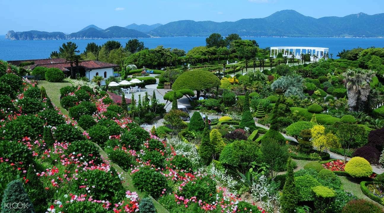 Special Oedo Island Day Tour from Busan2
