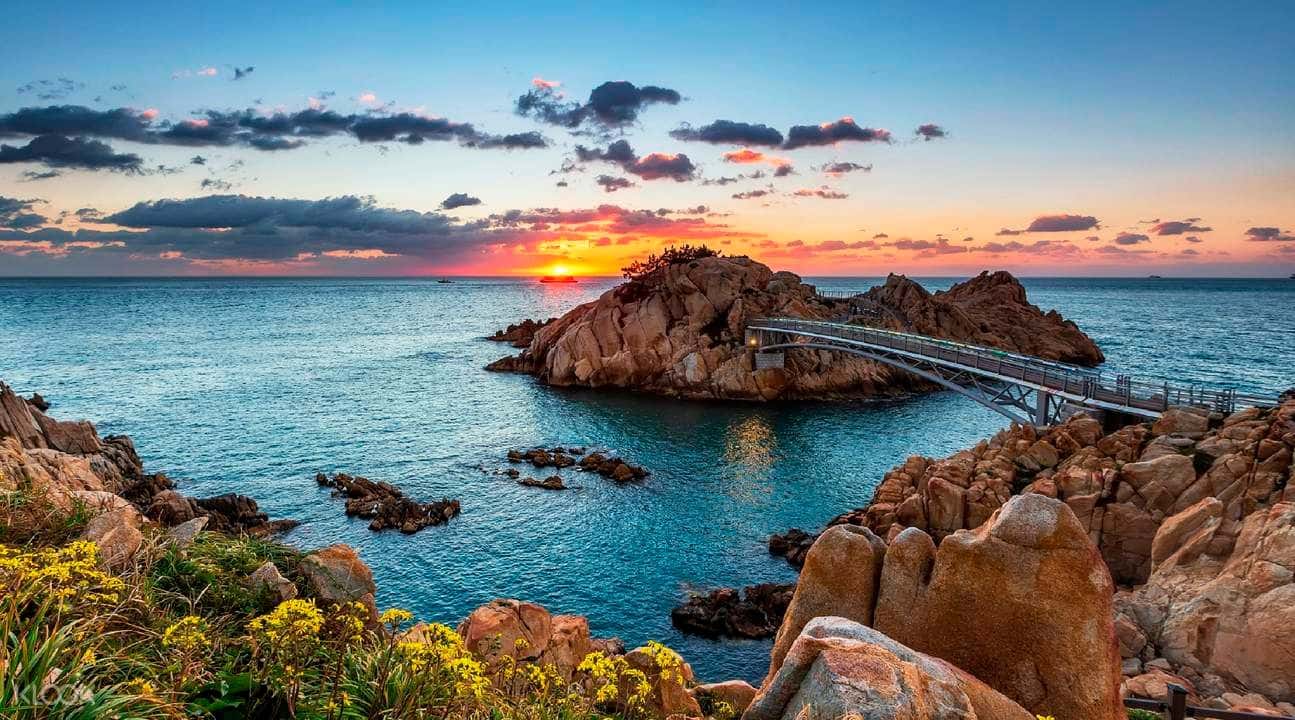 Ulsan Small Group Day Tour from Busan3