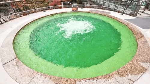 Vivaldi Park Ocean World Water park + hot spring3