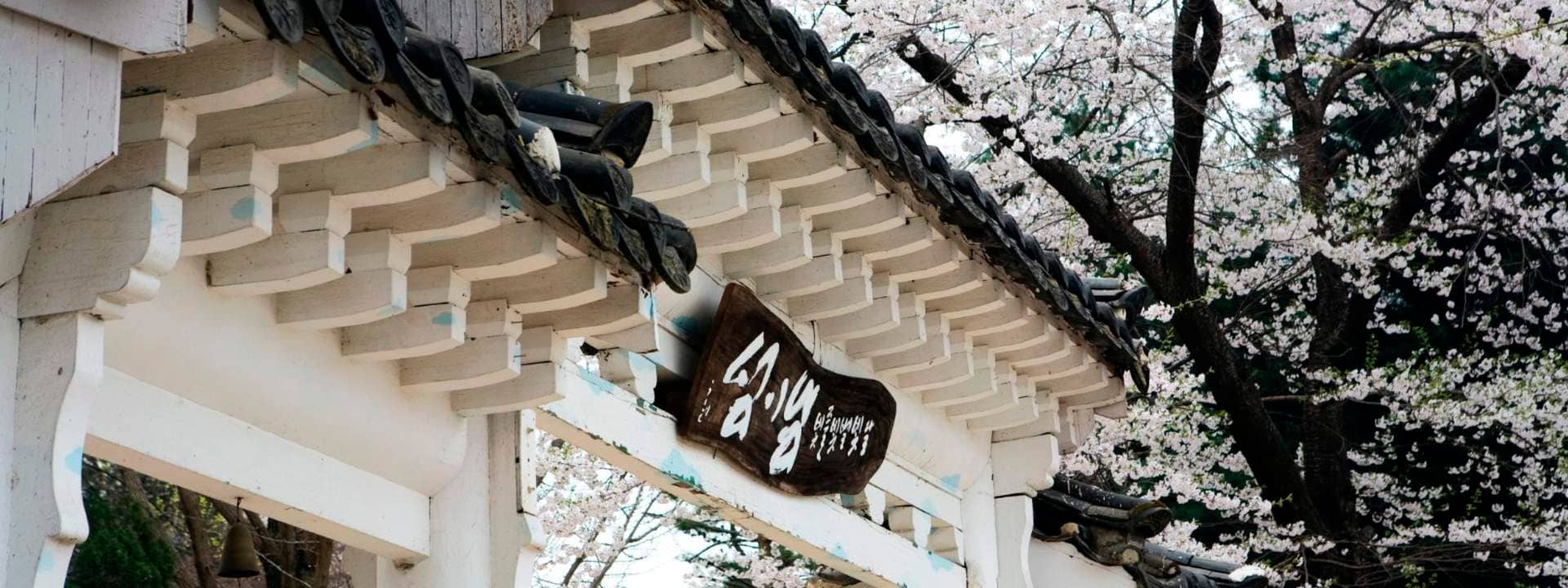 Wedding Photography Experience by Z-and in Seoul
