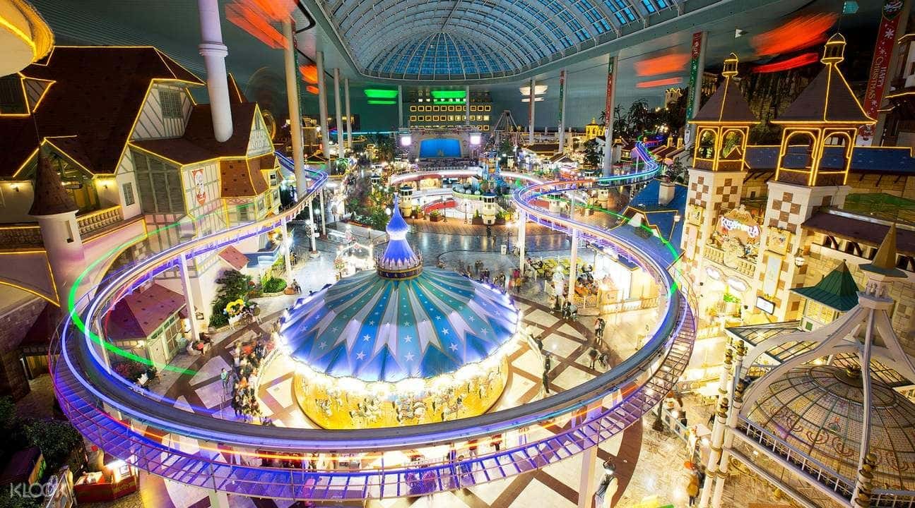 Yongin/Gapyeong Zipline and Nami Island/Everland Private Day Trip from Seoul2