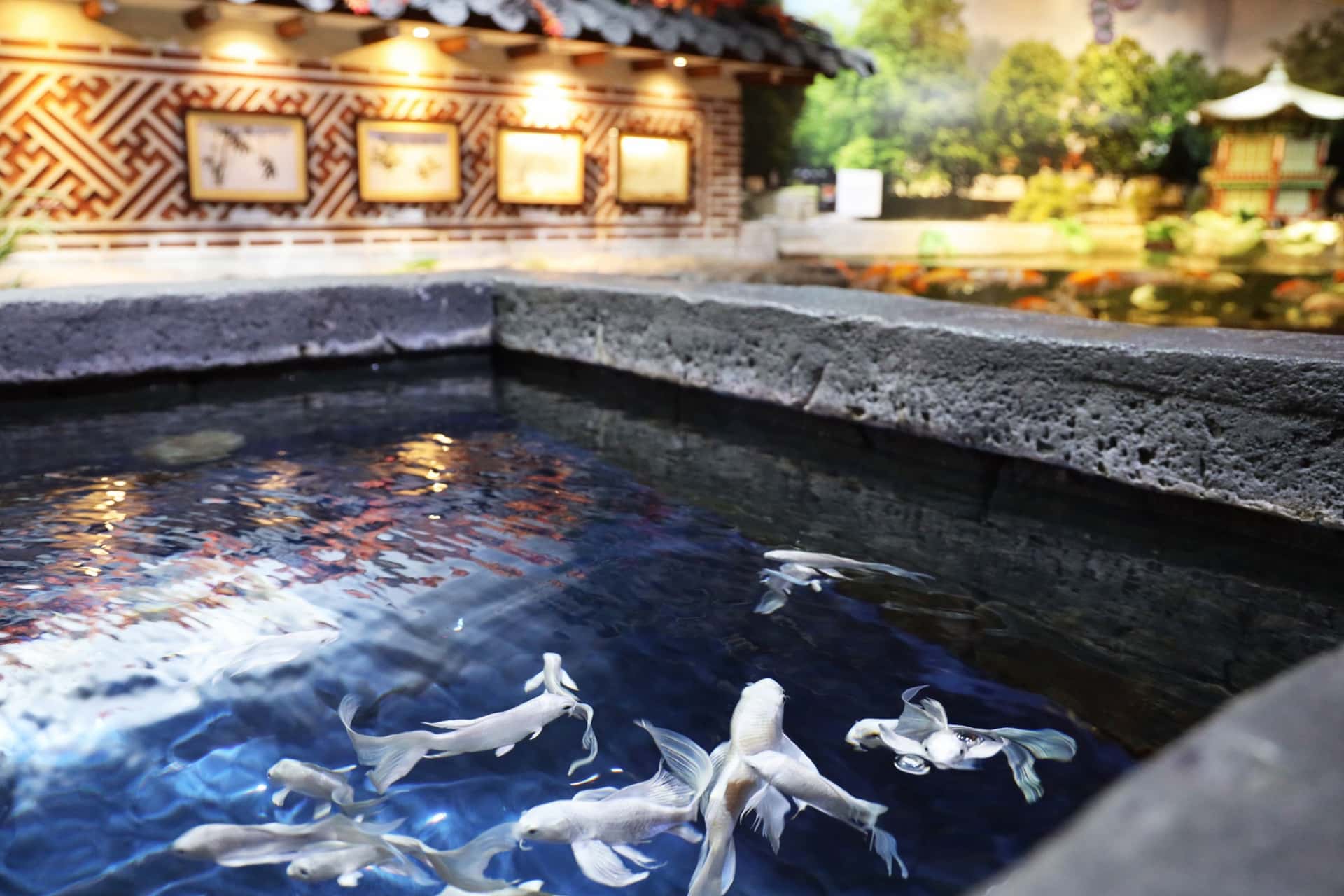 บัตรเข้าชม พิพิธภัณฑ์สัตว์น้ำ COEX (COEX Aquarium)1