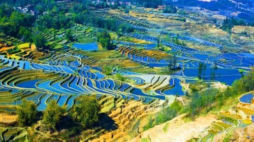 2-Day Kunming to Yuanyang Hani Rice Terraces Private Tour: Yuanyang Rice Terraces, Bada Terrace, Duoyishu, Shengcun Market, Jianshui Ancient City, Jianshui Confucius Temple