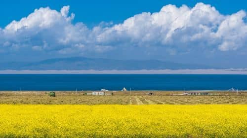2-Day Xining Private Tour: Qinghai Lake, Ta'er Monastery, Dongguan Mosque