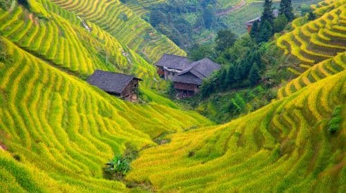 4 Day Guilin Longsheng Yangshuo Highlights Tour
