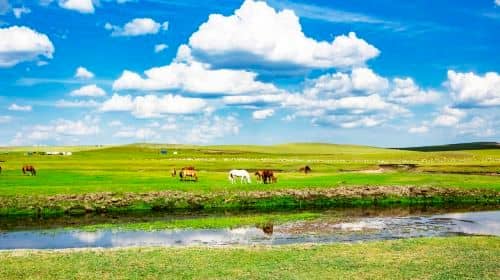 4 stars: 5-Day Inner Mongolia Hulunbuir Grassland Private Tou4