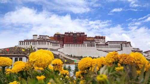4-Day Lhasa Private Tour: Jokhang Temple, Potala Palace, Norbulingka, Drepung Monastery, Sera Monastery
