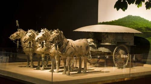 4-Day Xi'an Private Tour including Terra-Cotta Warriors, City Wall and Big Wild Goose Pagoda