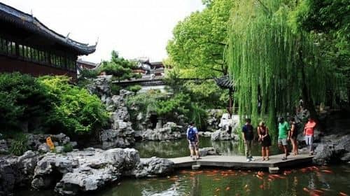 4-Hour Shanghai Temple and Garden Private Tour with Tea Tasting