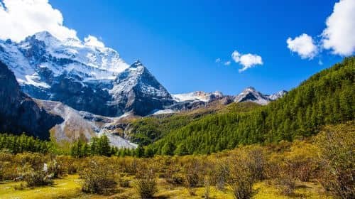 9-Day The Last Shangri-La to Yading Nature Reserve and Kham Tibet Private Tour: Bifengxia Panda Reserve, Shangli Ancient Town, Kangding County, Daocheng Three Holy Mountain