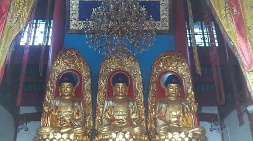 All inclusive Jiuhuashan buddha mountain 1 day private tour - No shopping