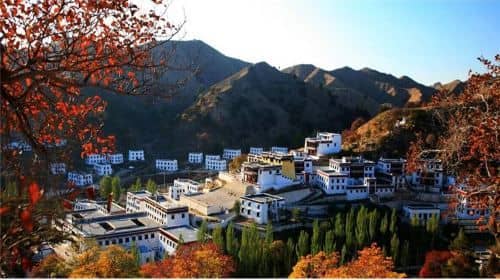 Baotou English-speaking Tour Guide