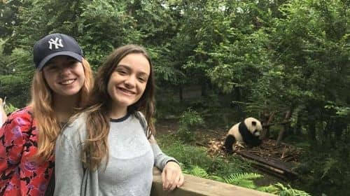 Chengdu Discovery: Panda Base and Giant Buddha Day Trip
