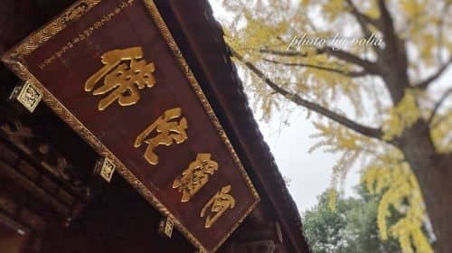 ทัวร์ส่วนตัว เที่ยวชมวัดเวินซู (Wenshu Monastery) วัดอู่โหว (Wuhou Temple) ถนนจินหลี่ (Jinli) และตรอกกวนไจ่ (Kuanzhai Alley) เมืองเฉิงตู แบบเต็มวัน