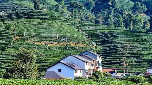 Flexible Hangzhou Private Tour from Shanghai by Bullet Train