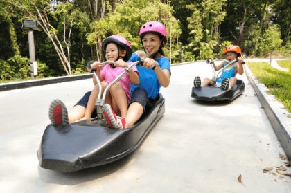 Skyline Luge Sentosa1