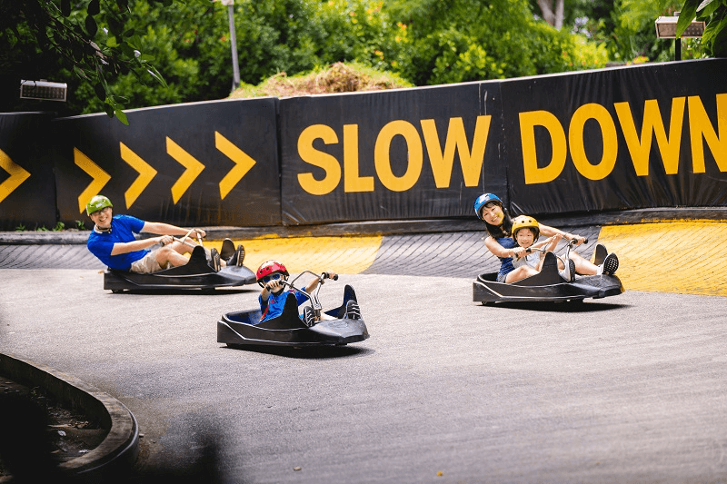 Skyline Luge Sentosa4