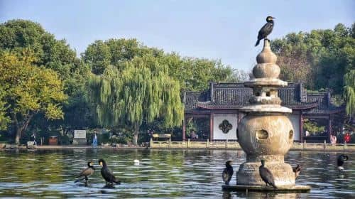 Flexible Private Tour to Hangzhou from Shanghai by Bullet Train