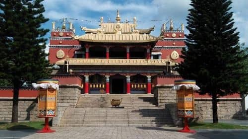From Guangzhou: Full-Day Shenzhen Sightseeing with Lunch Inclusive