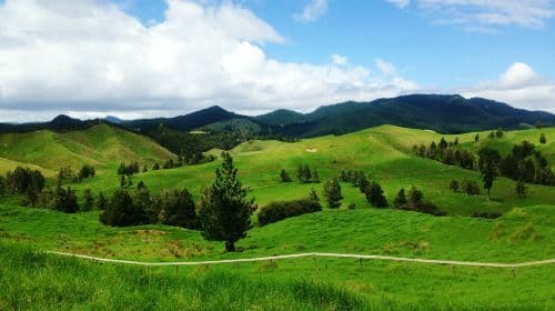 ทัวร์ส่วนตัว 1 วันจากหู่หอโถ่ไปยังทุ่งหญ้าฮุ่ยเทิงซีเล่อ