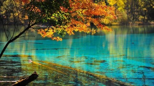 Jiuzhaigou English speaking Tour Guide