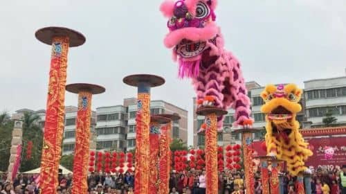 Kung Fu Lion Dance Culture Ceramics Furniture Market Private Tour