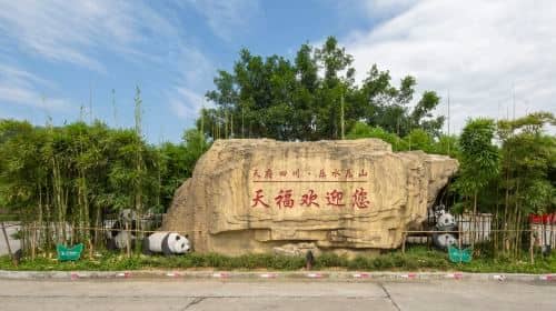 ทัวร์ส่วนตัวที่หมู่บ้านชาใน Lost Town และพระพุทธรูปเล่อซาน