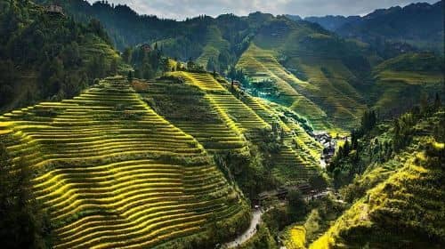 ทัวร์เต็มวันชมนาขั้นบันไดหลงจี๋และหมู่บ้านชนกลุ่มน้อยแบบส่วนตัว