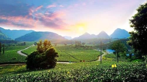 PRI Day Tour to Jiqingli Tea Plantation, Xianqiao Underground River fr Guangzhou