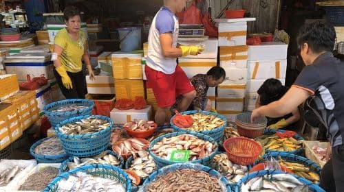 ทัวร์ส่วนตัว สัมผัสเสน่ห์เมืองเก่าเซียะเหมิน: เกาะกูลังอู ถนนจงซาน ตลาดแปดเหลี่ยม