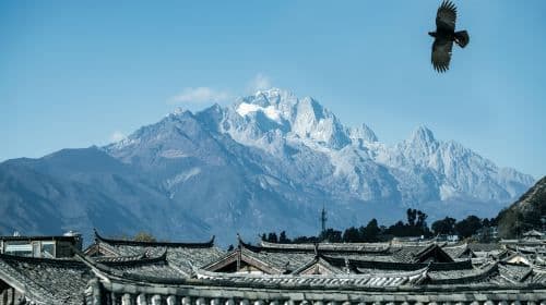 Private Yunnan Lijiang City Day Tour of Lijiang Old Town, Black Dragon Pool, Dongba Culture Museum and Lion Hill