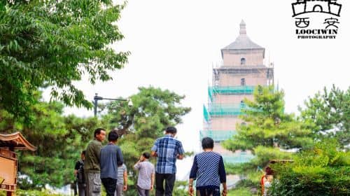 ทัวร์ส่วนตัว 1 วัน สำรวจนักรบดินเผาและเจดีย์ห่านป่าใหญ่ ที่ซีอาน