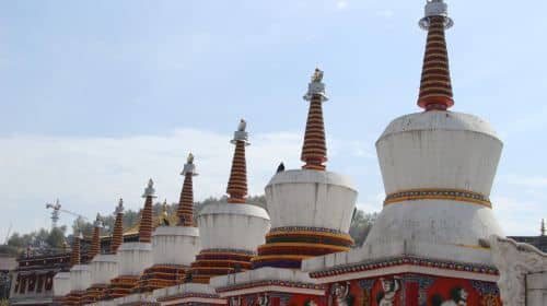 ทัวร์ส่วนตัว 1 วัน เยี่ยมชมเมืองซีหนิง วัดทาเอ๋อร์ มัสยิดตงกวน และพิพิธภัณฑ์วัฒนธรรมยาธิเบต
