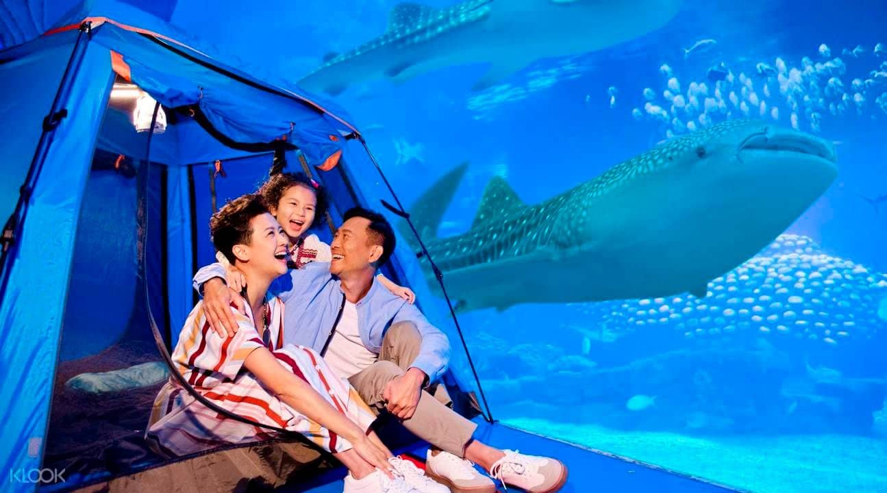 Chimelong Ocean Kingdom - Ocean Sleepover at Zhuhai Chimelong Penguin Hotel