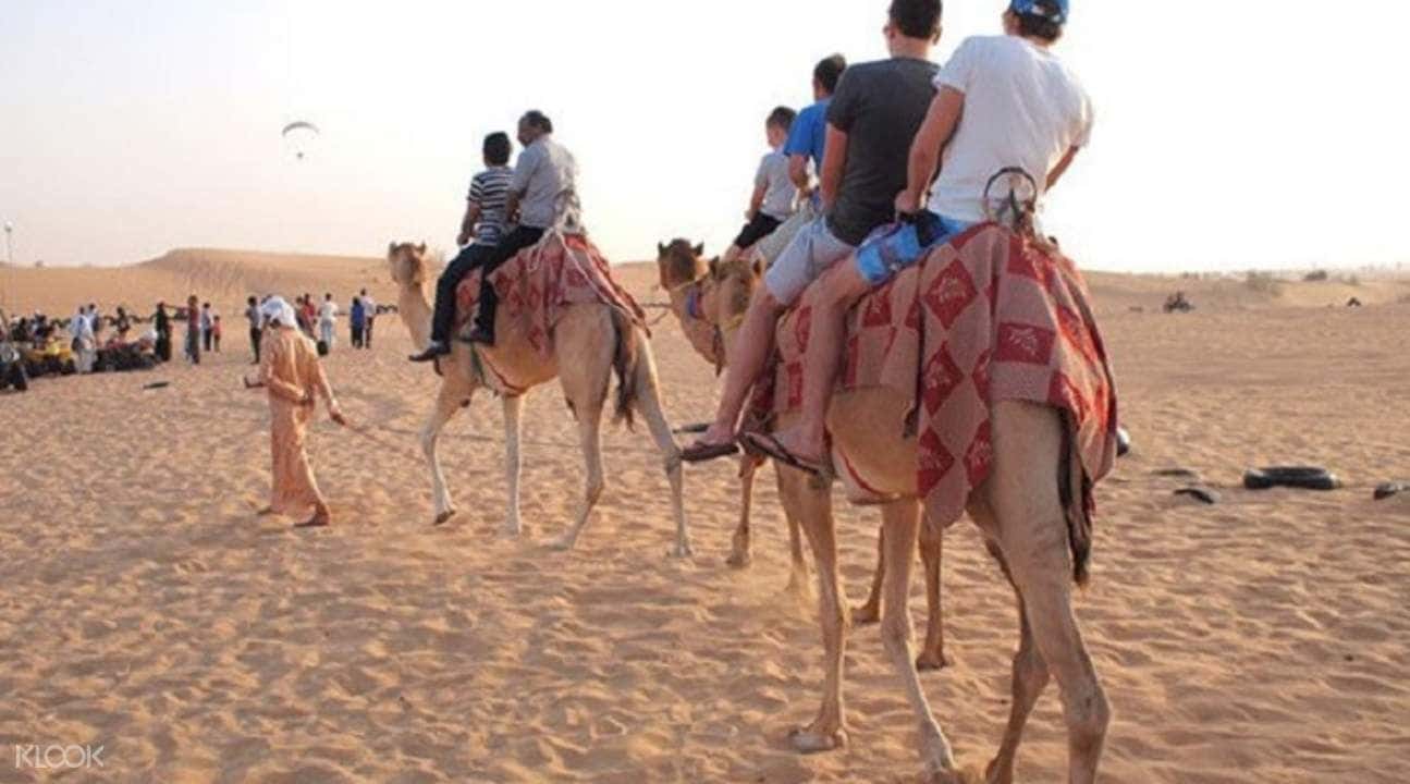 Abu Dhabi City Tour with Evening Desert Safari Experience2