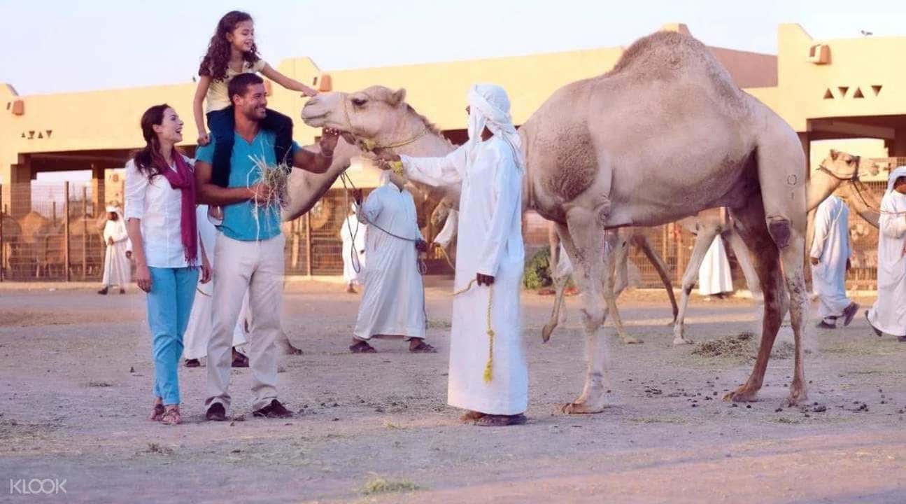 Al Ain City Tour from Abu Dhabi3